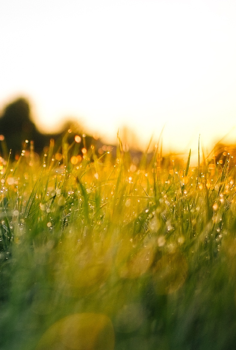 dc313fd0-639f-41ed-b7dc-95aa95f816d6